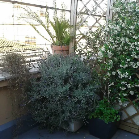 Chiara דירה רומא