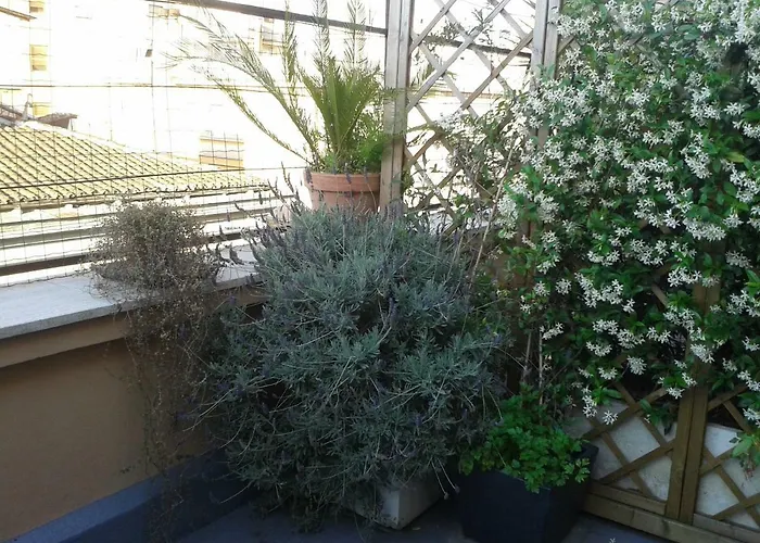 Chiara דירה רומא